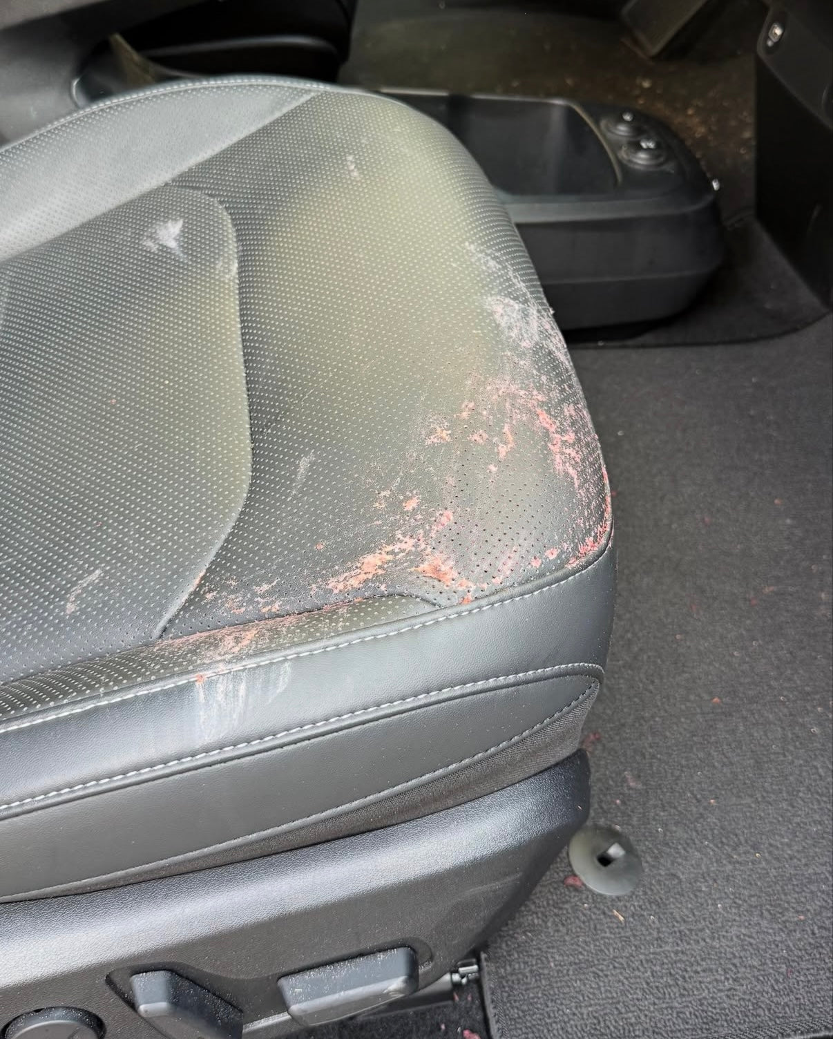 Deep Clean Interior Detail